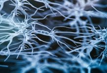 Clinicians urged to spot Guillain-Barre syndrome after COVID-19 vaccines Clinicians urged to spot Guillain-Barre syndrome after COVID-19 vaccines