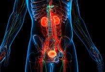 Promising bladder cancer treatment developed using alternative approach bladder-cancer-treatment