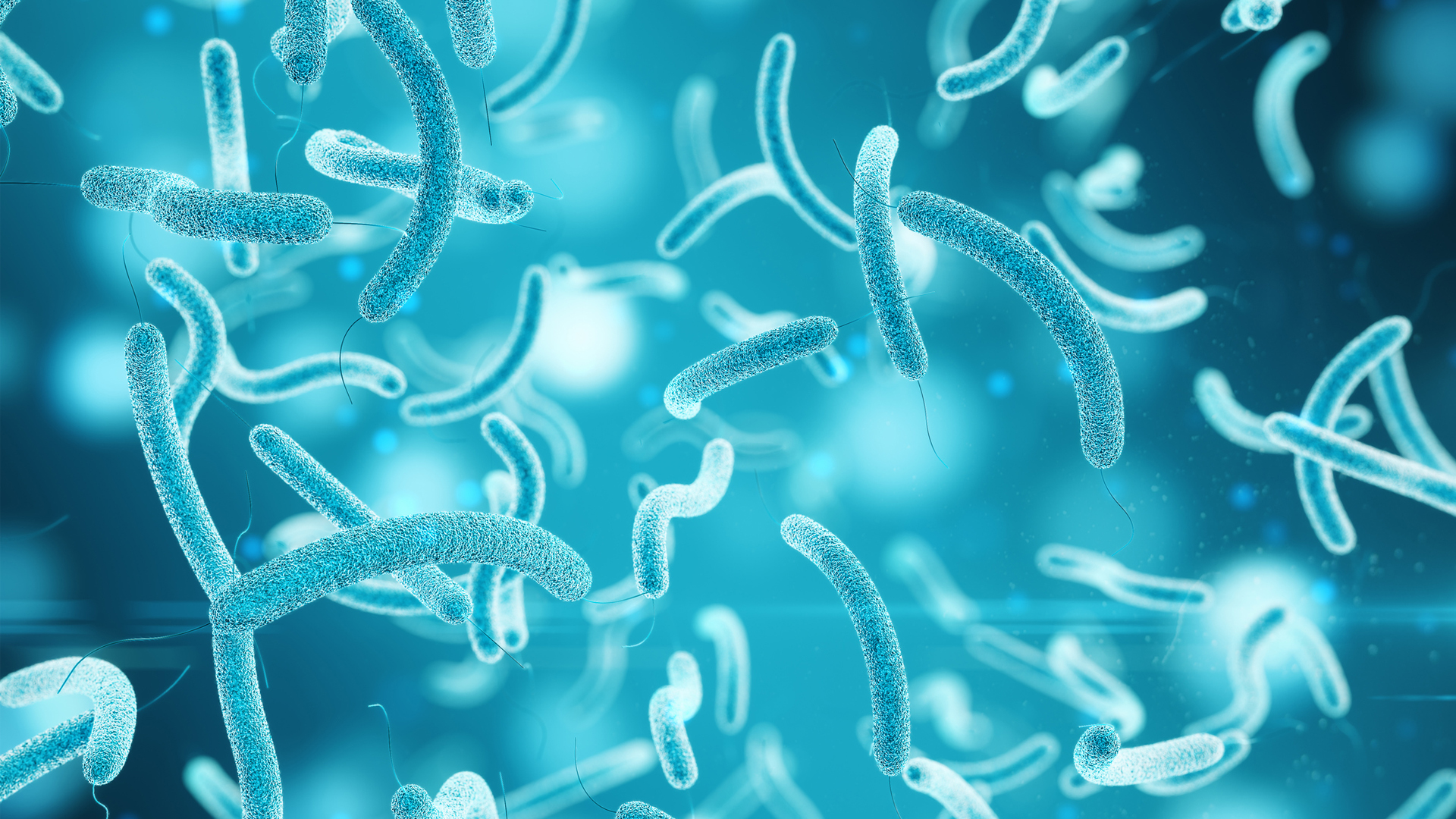 Dry surface biofilms: a new layer of defence for superbugs