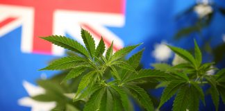 cannabis-Australia