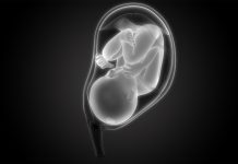 Foetal membranes repair themselves after injury, researchers demonstrate foetal-membranes