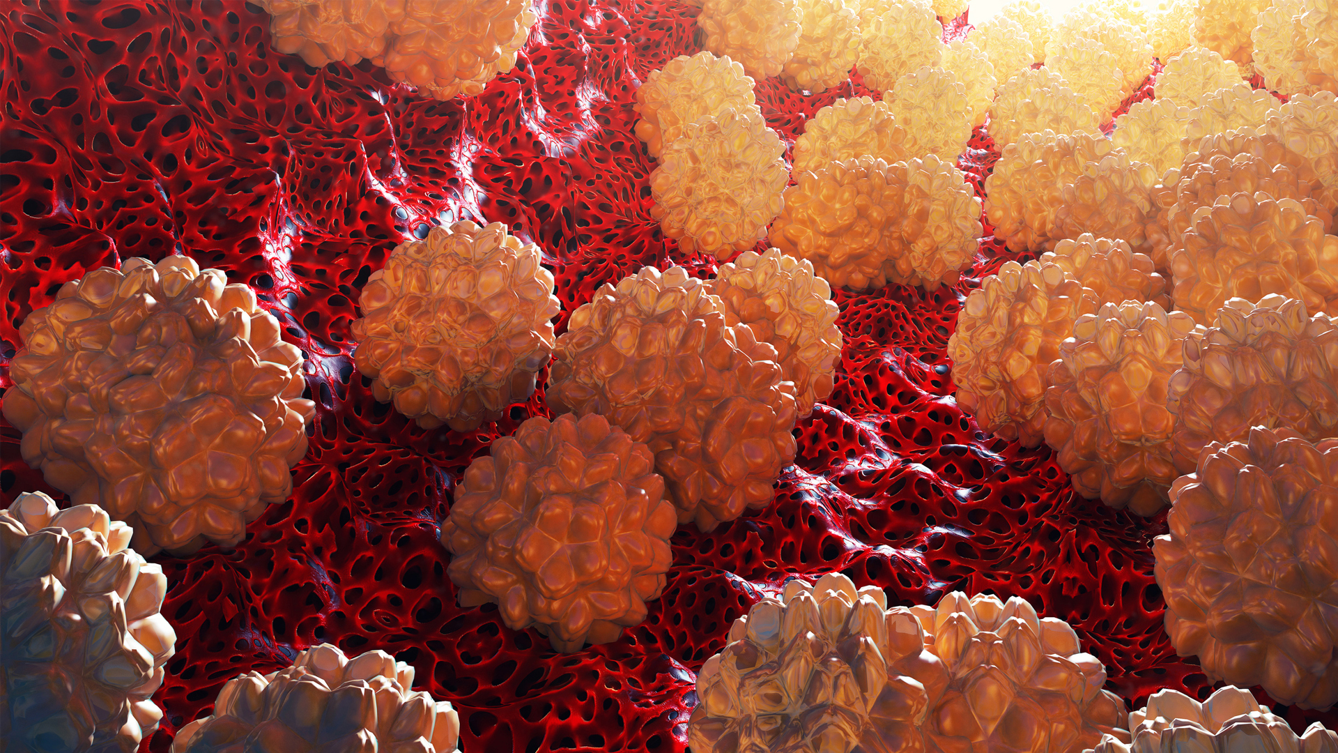 chlamydia-cancer-ectopic-pregnancy