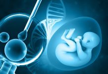 New communication discovered between human embryos and mother embryos