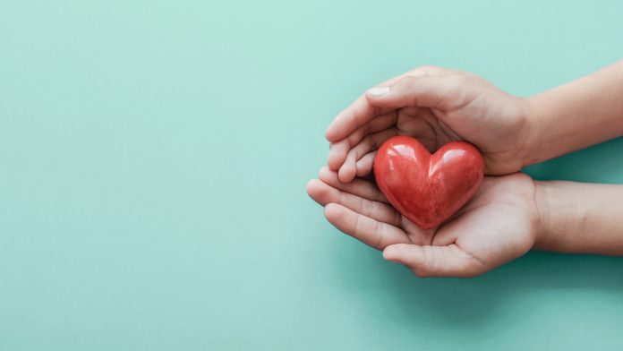 hands holding red heart on blue background, health care, love, organ donation, family insurance and CSR concept, world heart day, world health day atrial fibrillation