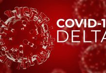 Uncovering why the COVID-19 Delta Variant is exceptionally infectious COVID-19 Delta Variant