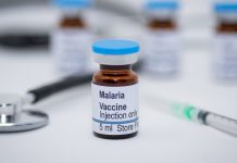 WHO: Distribution crucial to malaria vaccine success malaria vaccine