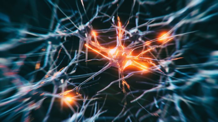 Neuron system disease Alzheimer's and dementia