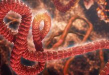 Combatting Crimean-Congo haemorrhagic fever with COVID technology rimean-Congo haemorrhagic fever