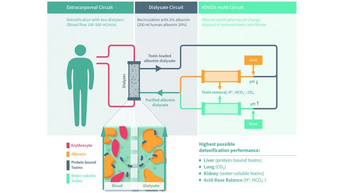 An innovative device for multi-organ failure support