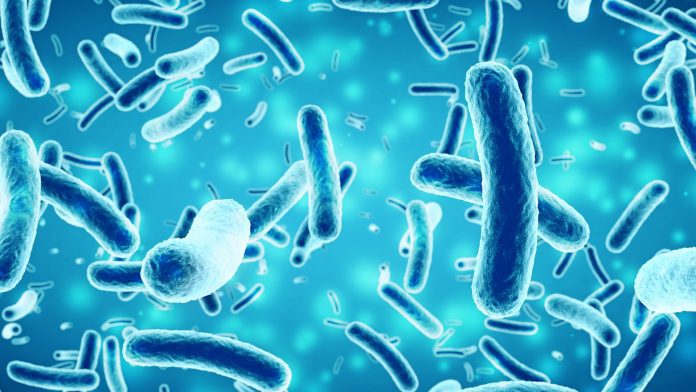© iStock-ClaudioVentrella Clostridium difficile