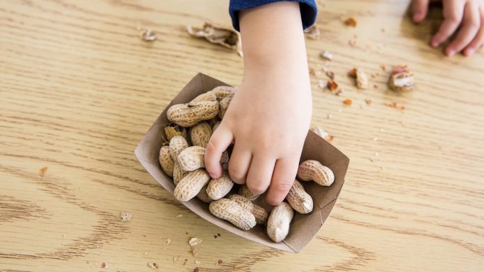 New treatment reduces effects of peanut allergy to benefit children
