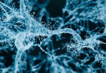 Cutting-edge technique effectively repairs peripheral nerve damage peripheral nerve damage