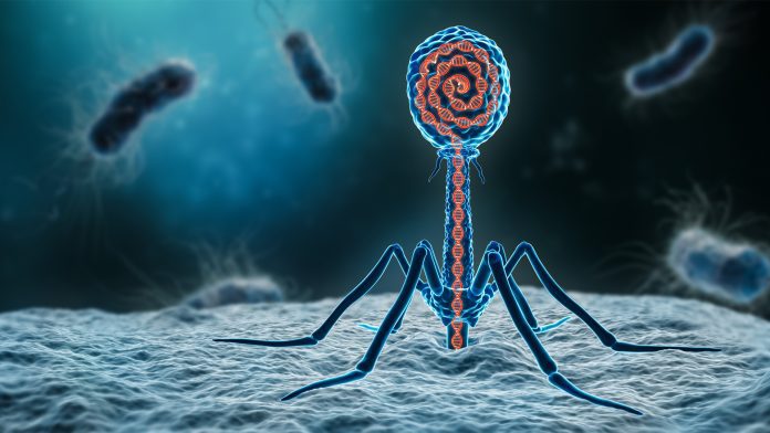 The challenges and opportunities associated with phage therapy