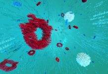 Sysmex: Alleviating the burden of antimicrobial resistance (AMR) Sysmex: Alleviating the burden of antimicrobial resistance (AMR)