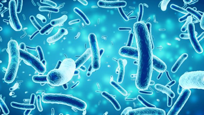 bacteria in a blue background lysin
