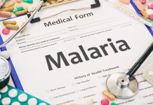 Discovery of key protein in malaria parasite leads to novel treatment opportunity