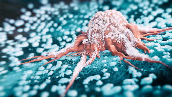 Cancer cells vis ovarian cancer treatment