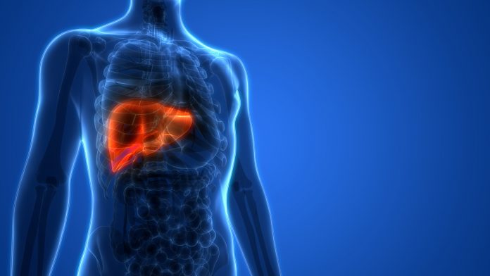 Liver cirrhosis: Highest mortality rate of all chronic diseases