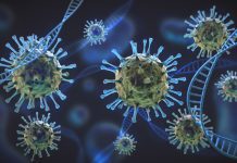 Obesity in ethnic minority groups linked to higher COVID-19 mortality COVID-19 mortality