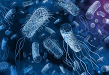 Research reveals the protective structure of superbug C.difficile