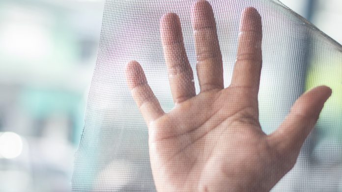 © iStock-undefined undefined mosquito nets