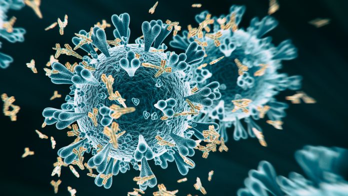 © iStock-koto_feja nanobodies