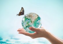 WHO outlines the requirements to keep humans and the planet healthy Healthy Planet