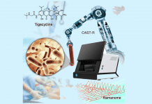 CAST-R automated technology identifies optimal antibiotics for blood infections blood infections