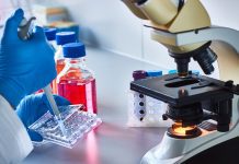 New cancer drug developed in CU lab New Cancer Drug