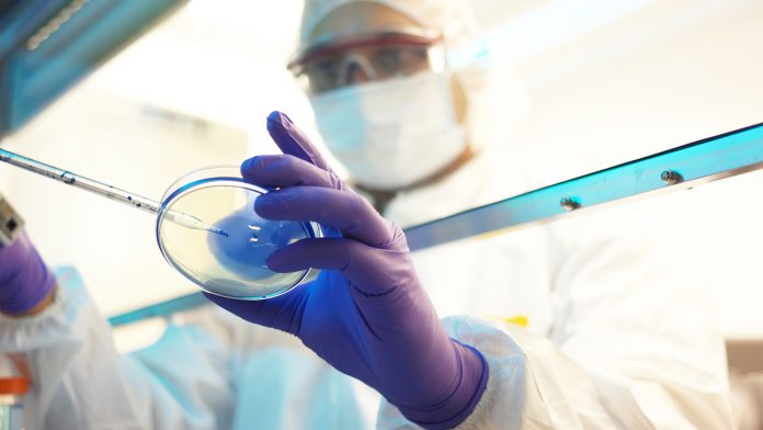 scientist in a clean room antimicrobials