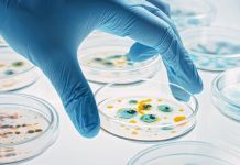 ‘Antimicrobial resistance (AMR) is a slow tsunami’