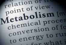 Protein discovery may help to develop treatments for metabolic disorders metabolic disorders
