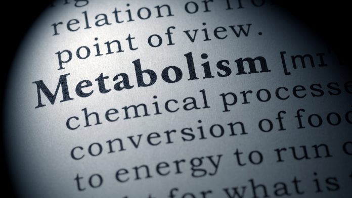 definition of metabolism metabolic disorders
