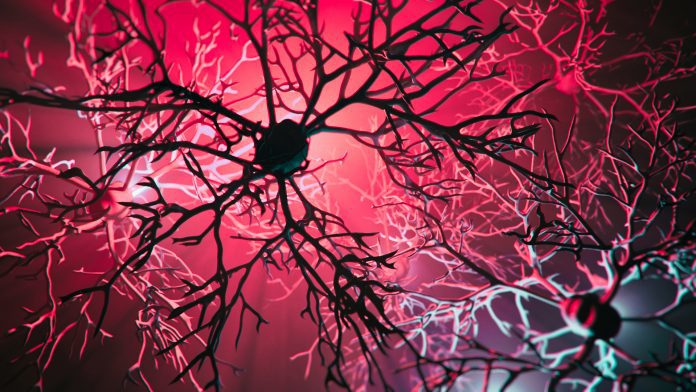 Neuron system disease blood brain barrier