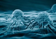 Cancer prevention: Three simple interventions reduce cancer risk by 61% cancer prevention