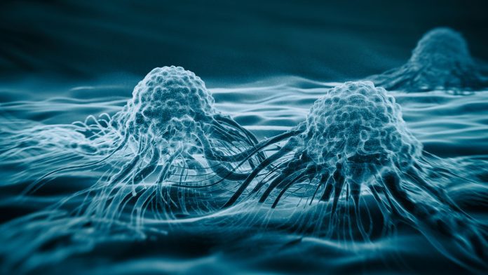 © iStock-koto_feja cancer prevention