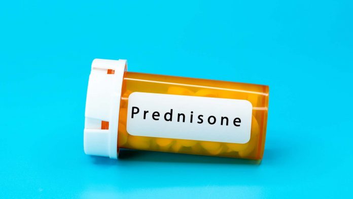 Can weekly prednisone tablets treat obesity?