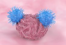 New approach shortens the manufacturing time for CAR T cell therapy