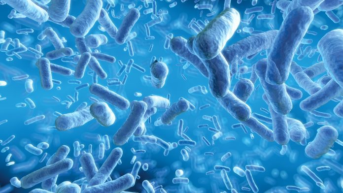 Using machine learning to identify antibiotic-resistant bacteria