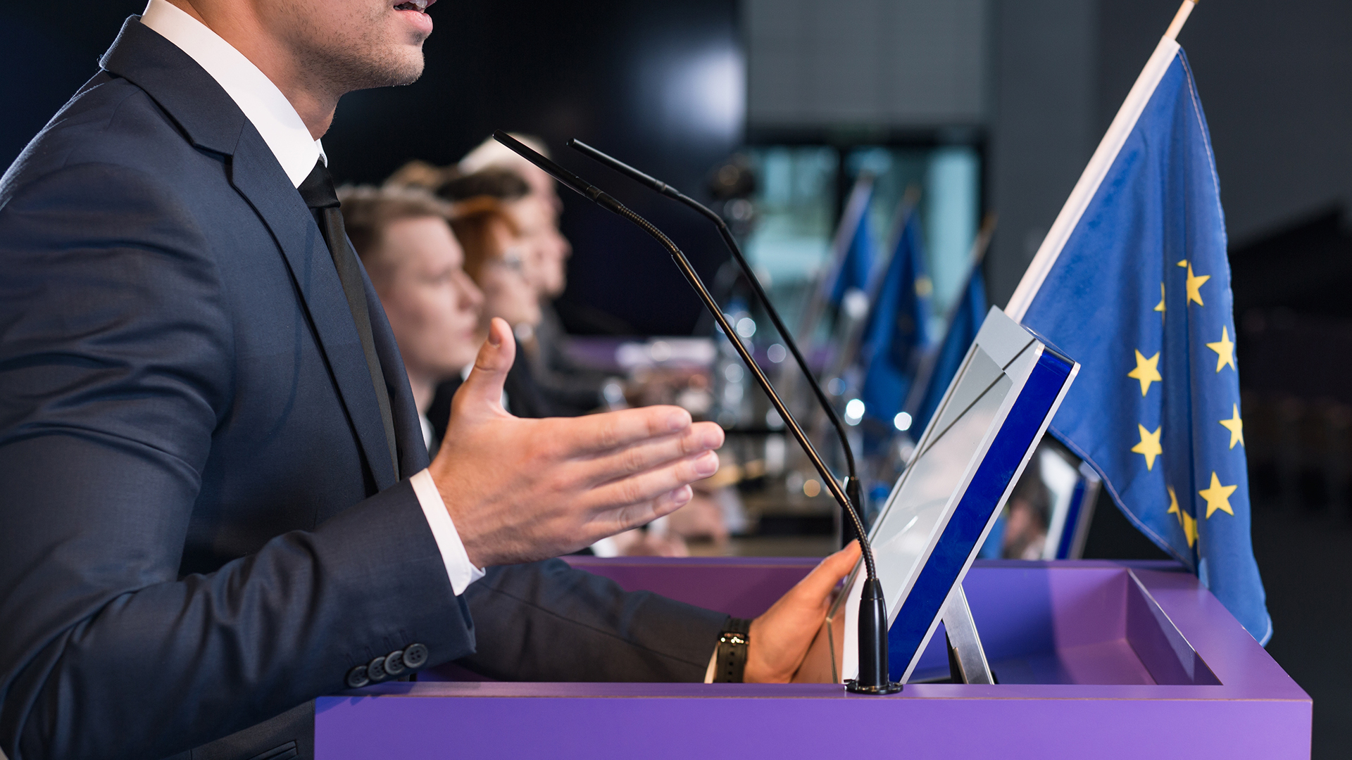 MEP Interest Group on AMR