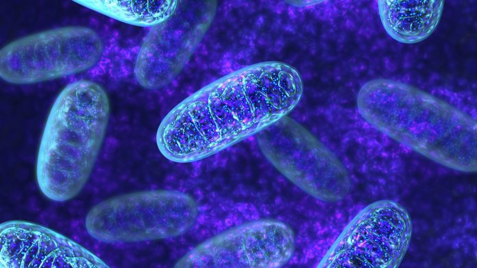 Three mitochondrial diseases identified using a new approach