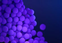 New guidelines aim to reduce MRSA infection prevalence