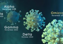 New PCR test rapidly detects all variants of COVID variants of COVID