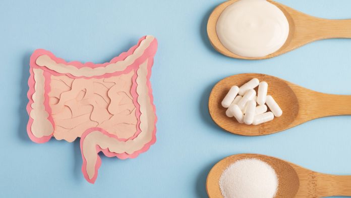 Everything you need to know about improving gut health