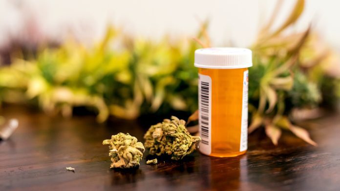 Using medical cannabis for cancer reduces painkiller usage
