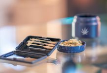 New research into the effects of cannabis use