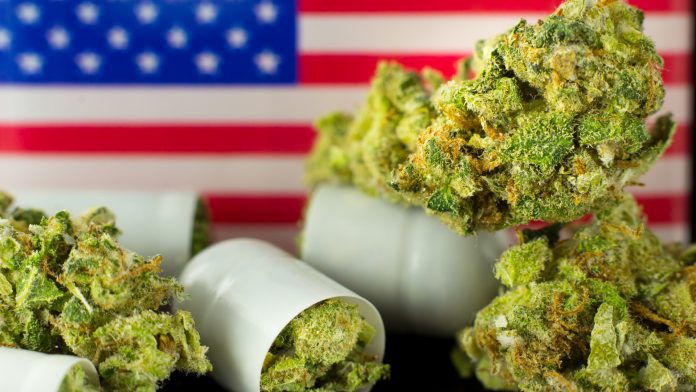 states with legal cannabis