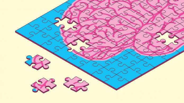 Puzzle Pieces Brain Damage Alzheimer's Memory Loss Intelligence Learning Disability Mind Games risk genes for Alzheimer's disease