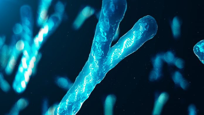 Y-Chromosomes with DNA carrying the genetic code. Genetics concept, medicine concept. Future, genetic mutations. Changing the genetic code at the biological level. 3D illustration Y chromosome