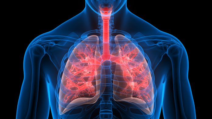 Scientists discover a new cystic fibrosis treatment approach 